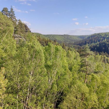 Ferienwohnung Saechsische Schweiz Rosenthal-Bielatal Buitenkant foto