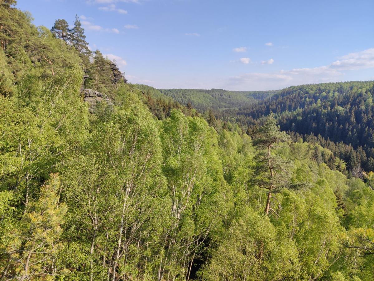 Ferienwohnung Saechsische Schweiz Rosenthal-Bielatal Buitenkant foto